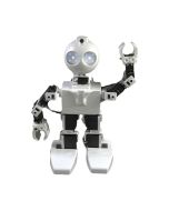EZ-Robot - JD Humanoid Robot