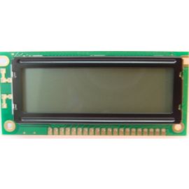 Graphic LCD Display Module (122 X 32)