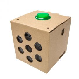 Google - AIY Voice Kit