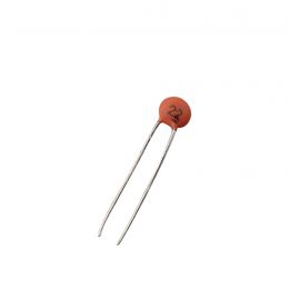 Ceramic Capacitor 22pF