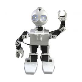 EZ-Robot - JD Humanoid Robot