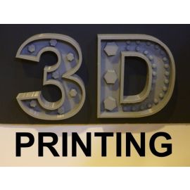 Custom 3D Printing Services (10 Gram)
